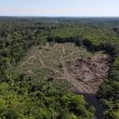 Vue aérienne de la forêt amazonienne en juillet 2022. Bruno Kelly