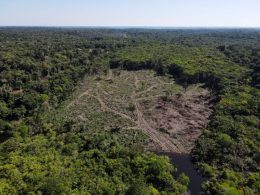 Vue aérienne de la forêt amazonienne en juillet 2022. Bruno Kelly