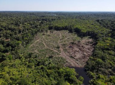 Vue aérienne de la forêt amazonienne en juillet 2022. Bruno Kelly