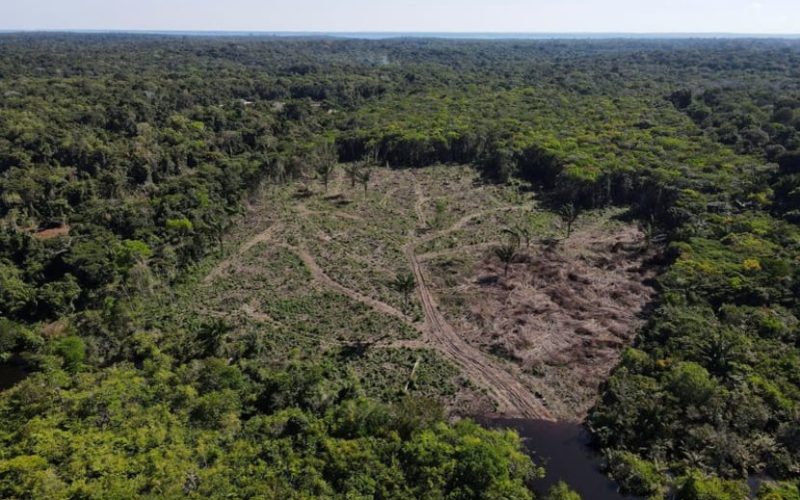 Vue aérienne de la forêt amazonienne en juillet 2022. Bruno Kelly