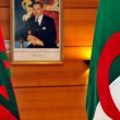 Sommet de l'Union du Maghreb arabe, février 2012. ©AFP PHOTO / ABDELHAK SENNA