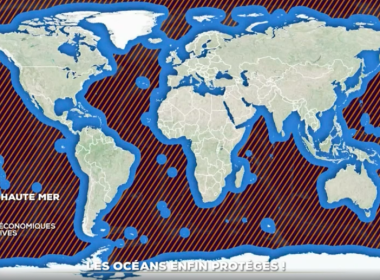 Le traité de la haute mer n'aborde pas la question de l'exploitation minière dans les fonds marins, l'autre question hautement stratégique autour des eaux internationales. Infographie : TF1