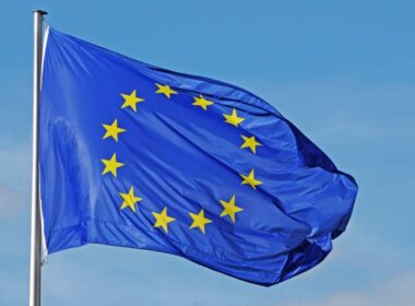 The European Union flag/ Credits : vojtechvlk / iStock