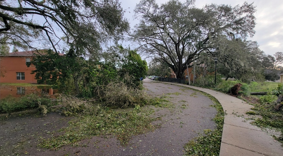 Florida in Crisis : The Unrelenting Furry of Hurricane Season