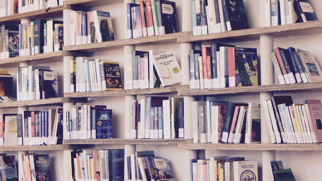 bibliothèque livres