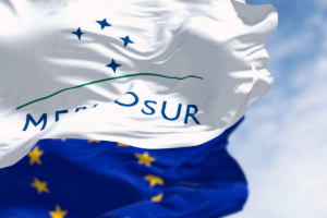 L'Europe dit "oui" au Mercosur. Crédits : rarrarorro / iStock